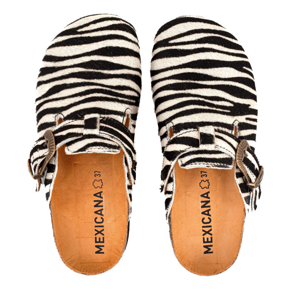 CORAL ZEBRA