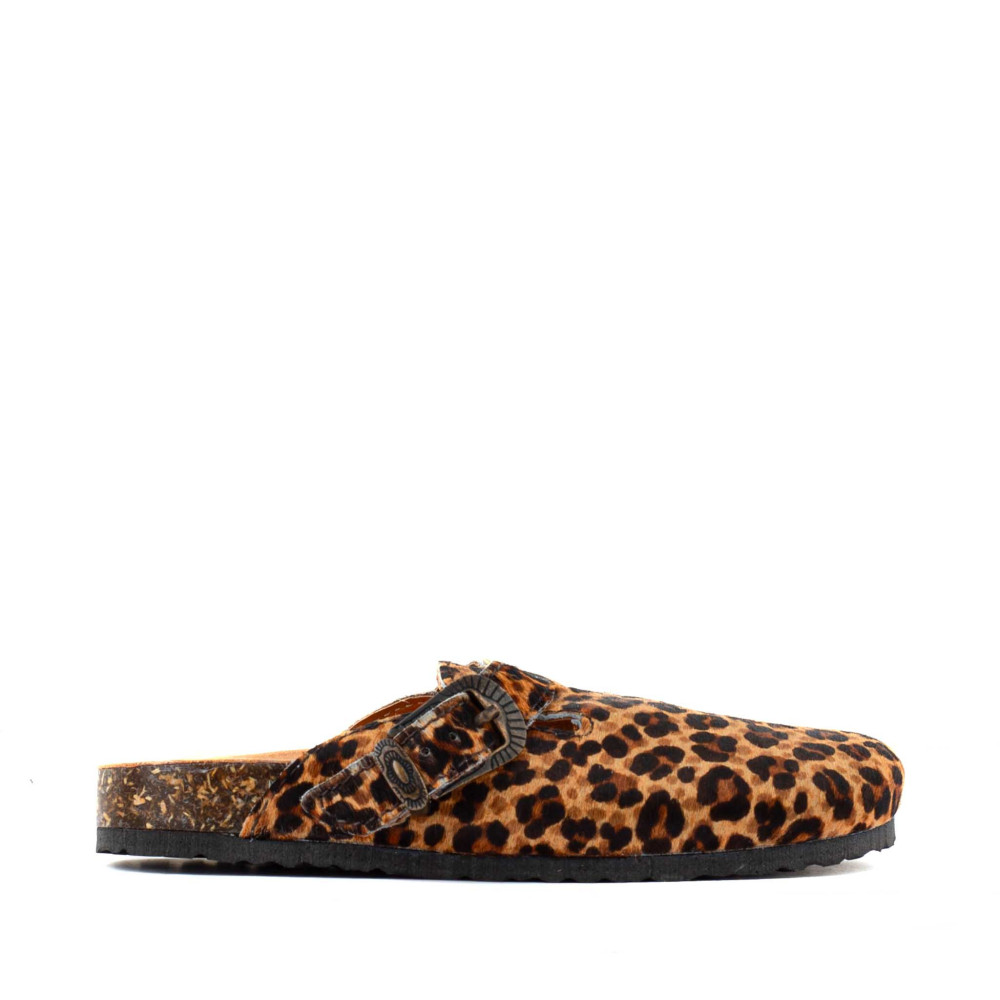 CORAL LEOPARDITO