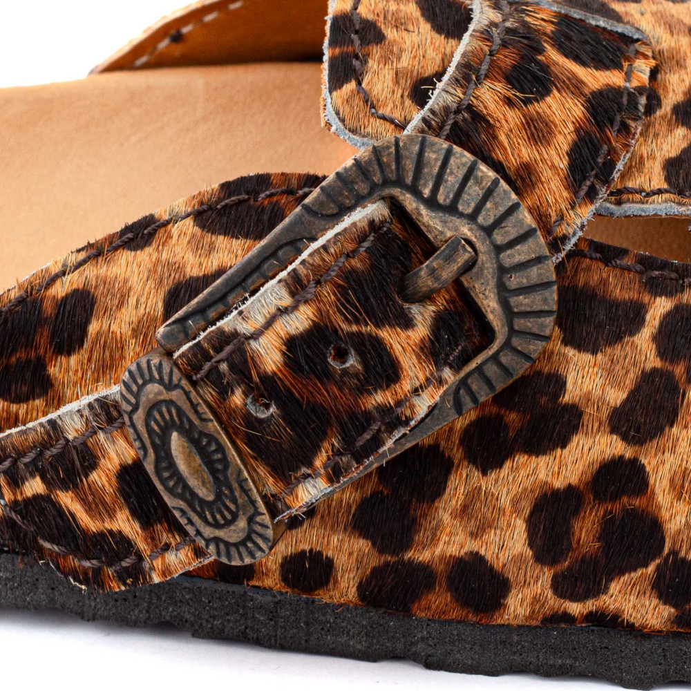 CORAL LEOPARDITO