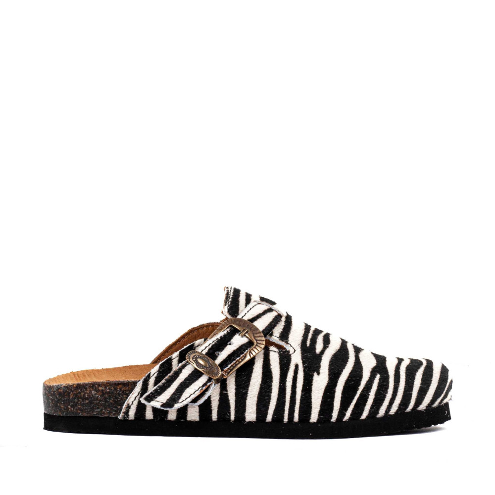 CORAL ZEBRA