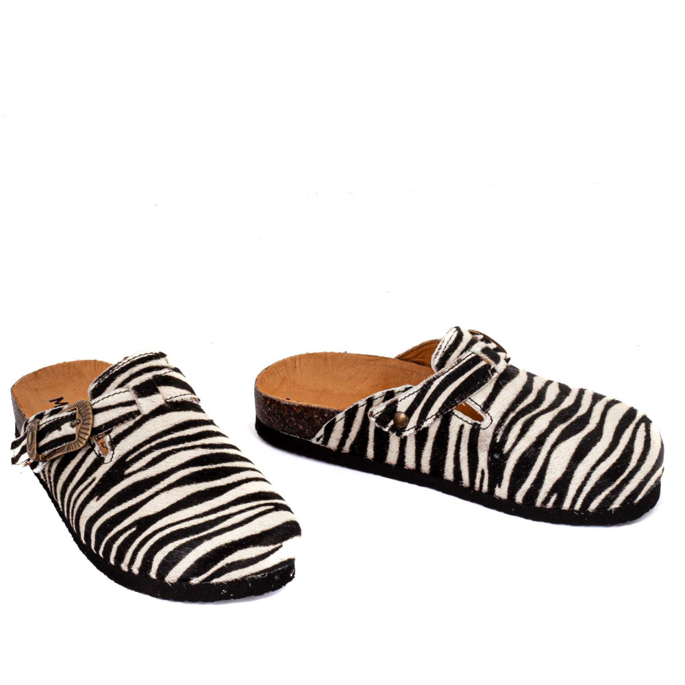 CORAL ZEBRA