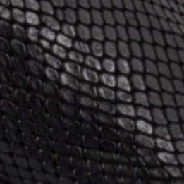 Bottines Femme Cuir "ESTUDIO BLACK SNAKE" | MEXICANA Officiel