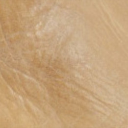 Santiags basses couleur avec zip - Fury camel rancheiro - Santiags femme