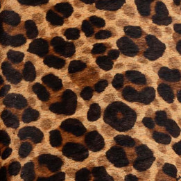 CORAL LEOPARDITO