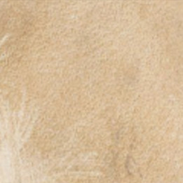 GAUCHO BONE BOTTINES A BOUT POINTU AVEC SURPIQURES,
ELASTIQUES LATERAUX RECOUVERT DE CUIR
 
Brass
Hauteur totale du talon 6.