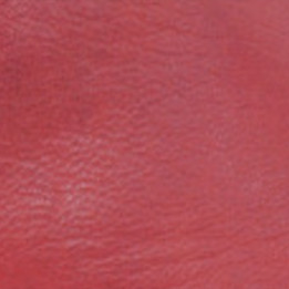 GAUCHO FIRED RED BOTTINES BOUT POINTU AVEC SURPIQURE FLAMME,

ELASTIQUES LATERAUX RECOUVERTS DE CUIR

Hauteur totale du talo
